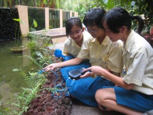 ứng dụng thiết bị cảm biến Addestation